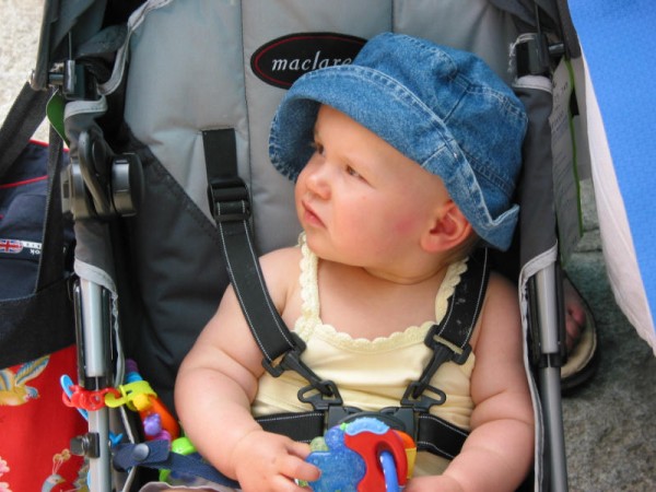 Click for the original image