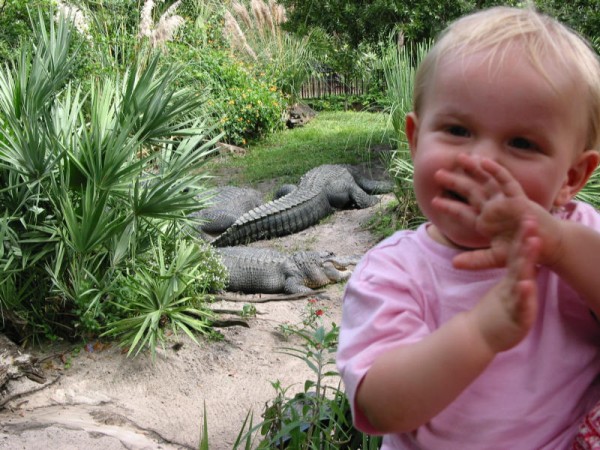 Click for the original image