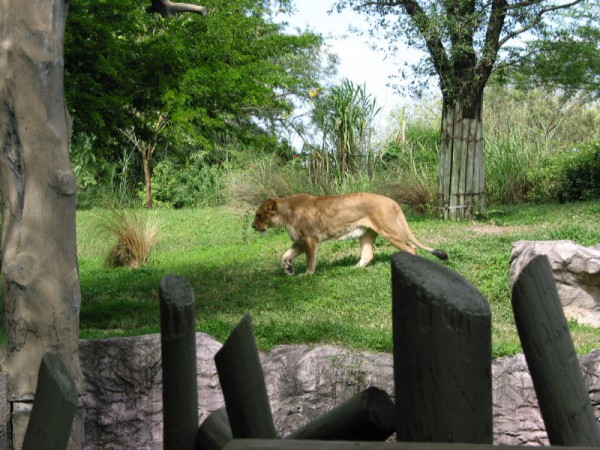 Click for the original image