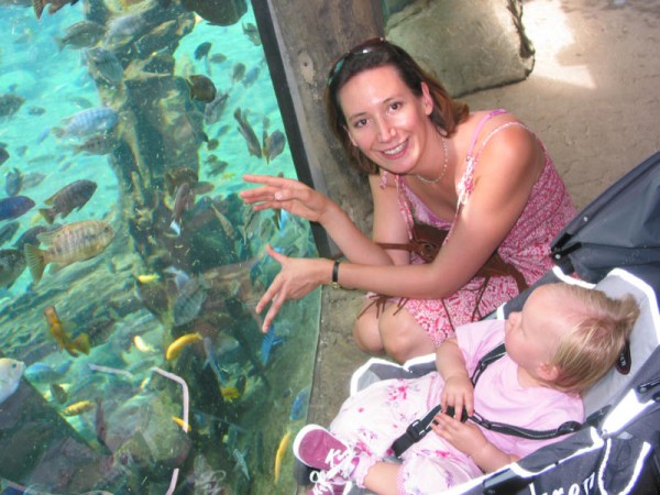 Click for the original image