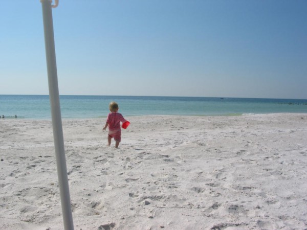 Click for the original image