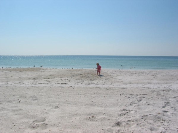 Click for the original image