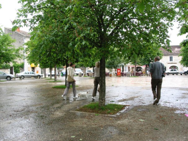 Click for the original image