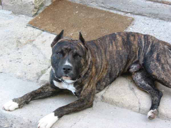 Click for the original image