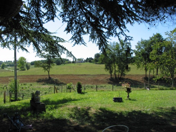 Click for the original image