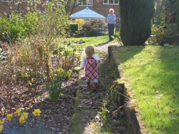 Click for the original image