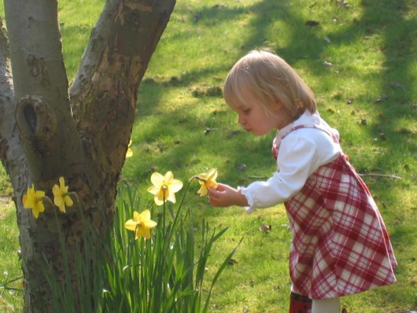 Click for the original image