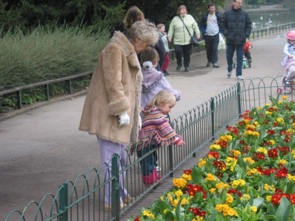 Click for the original image