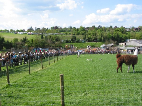 Click for the original image