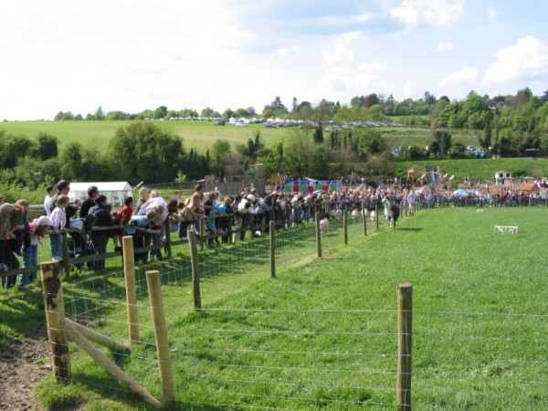 Click for the original image