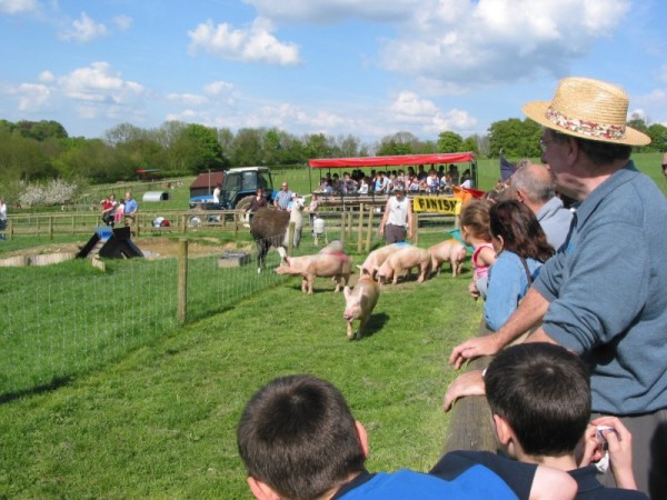 Click for the original image