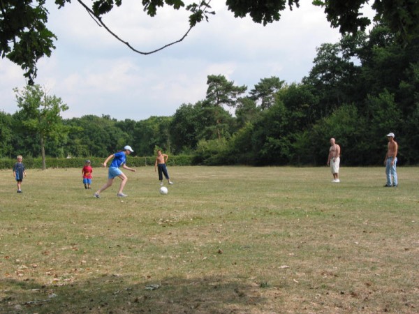 Click for the original image