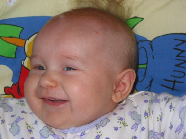 Click for the original image