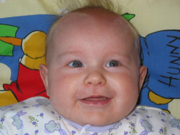 Click for the original image