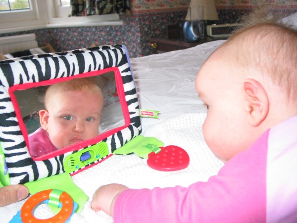 Click for the original image